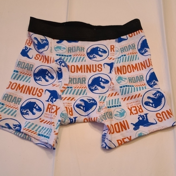 Other - New Boy's Jurassic Park Boxer Briefs, Sz 4